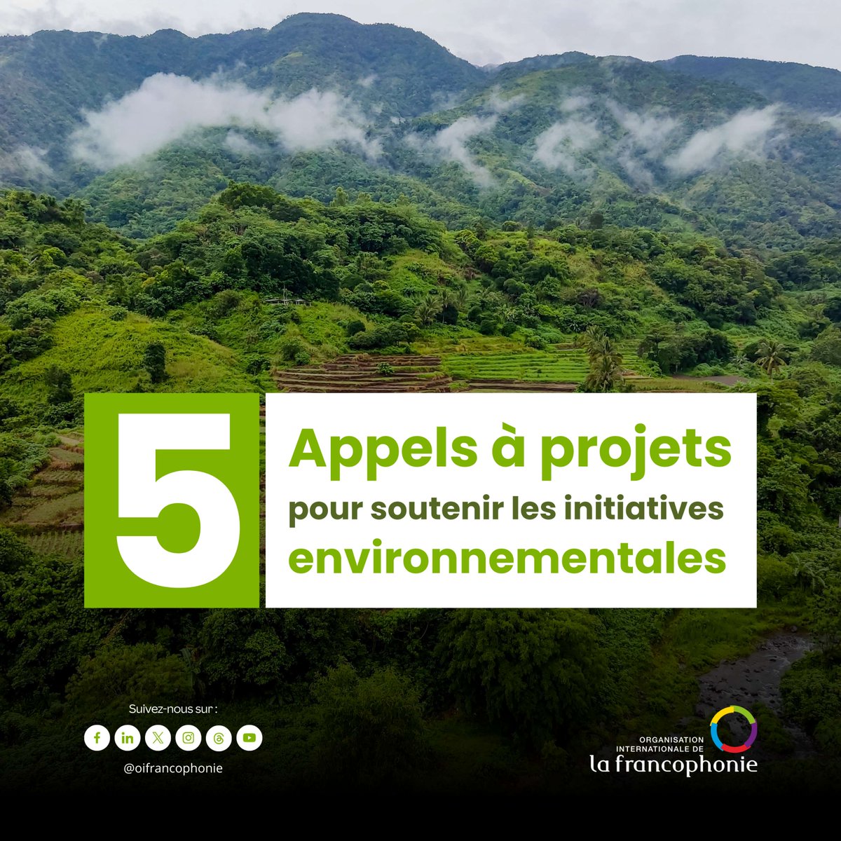 La Francophonie tweet media