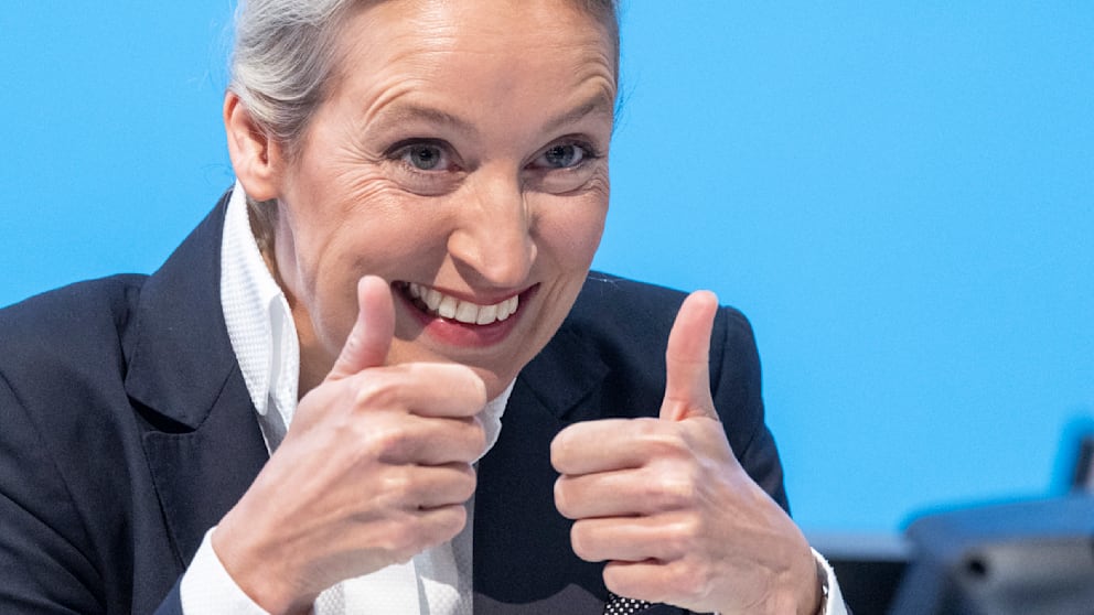alice weidel gefällt dieser tweet
