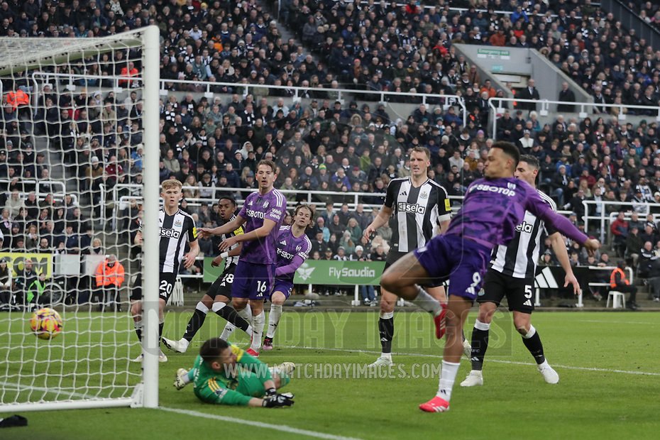 DC PIX LTD tweet media