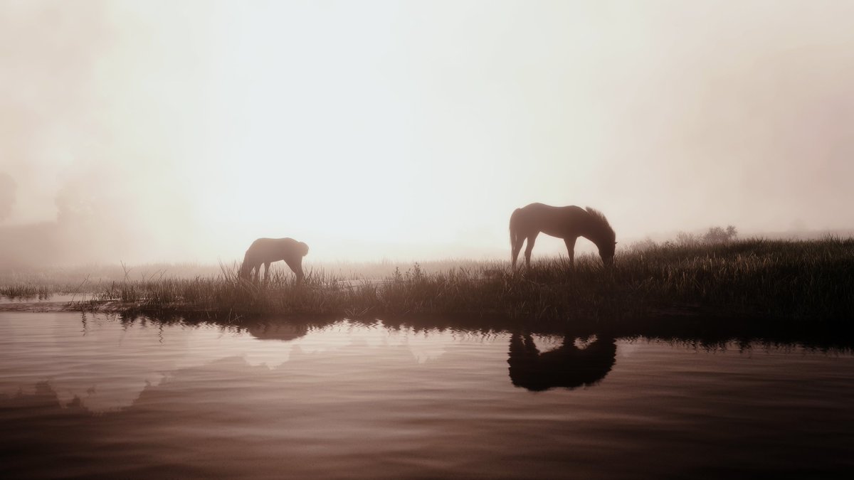 playpausephoto's tweet photo. Red Dead Redemption 2 https://t.co/CK0f9er1mf
