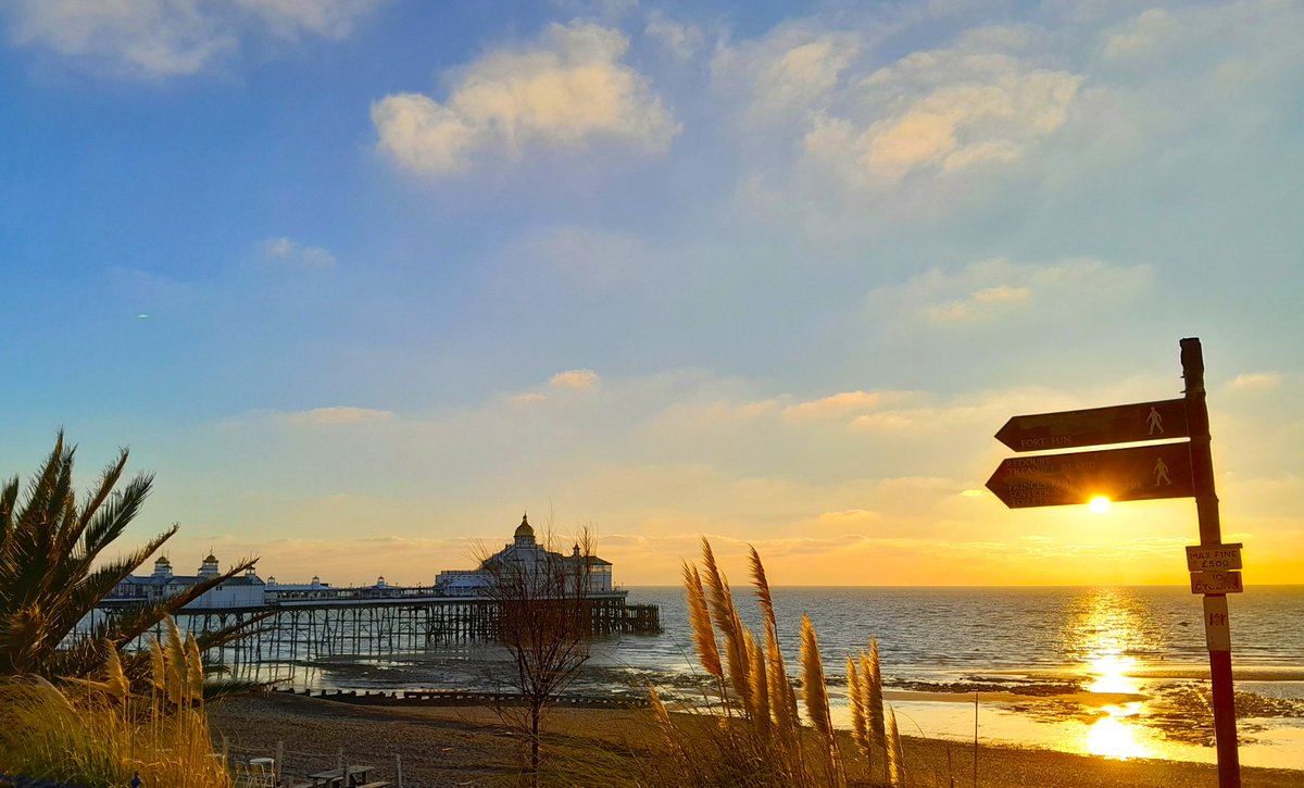 Sharing Life With Nature tweet media