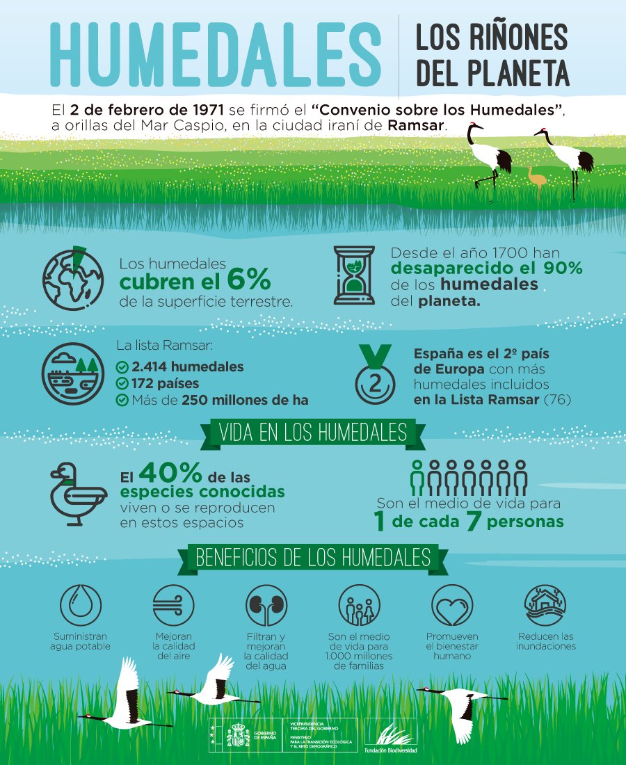 Los #humedales sostienen el equilibrio natural, pero en la actualidad están amenazados por la contaminación, el desarrollo desmedido y el #CambioClimático. 

Sin humedales 🏞️ no hay vida 💙

#DíaMundialDeLosHumedales