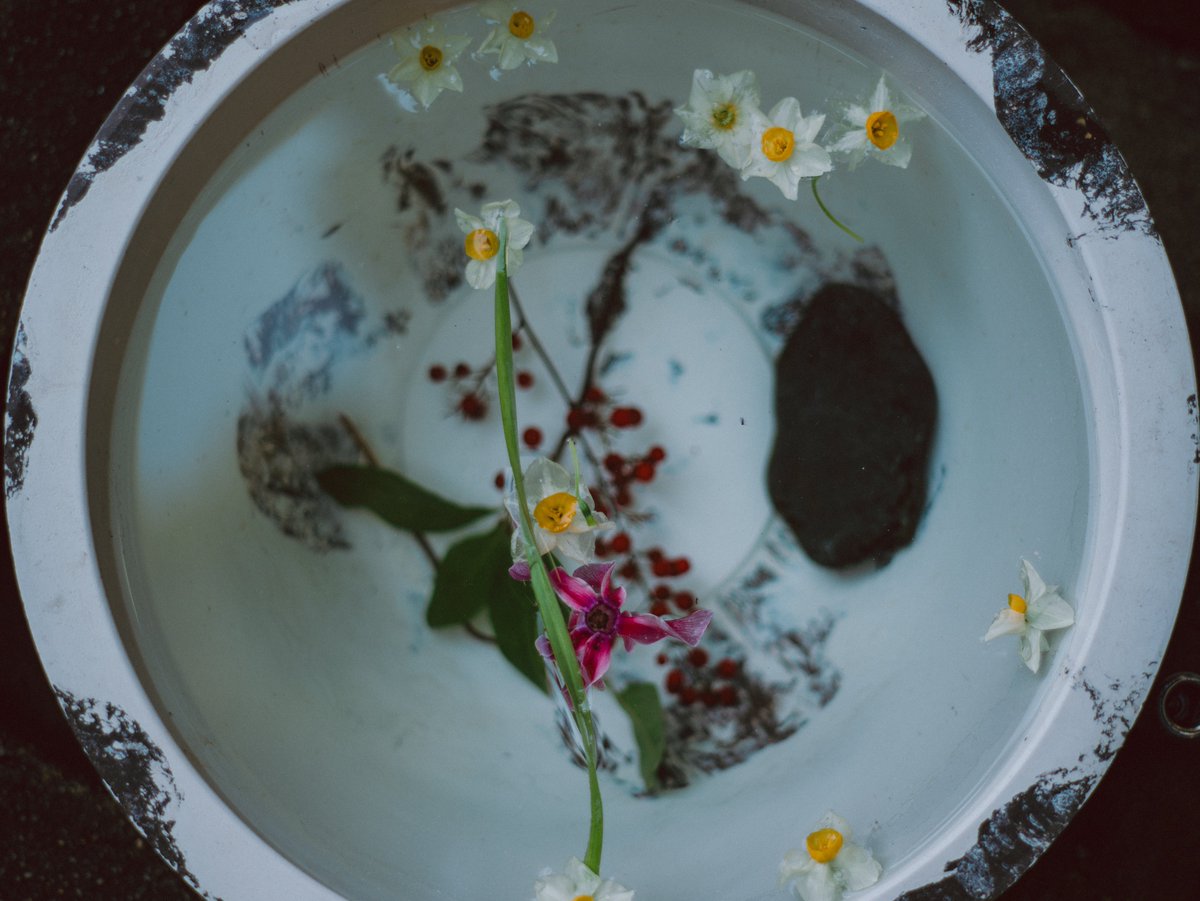 UMA｜悠真 tweet media