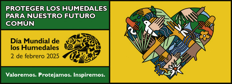 Humedales Delta Ebro (@humedalesdelta) on Twitter photo 