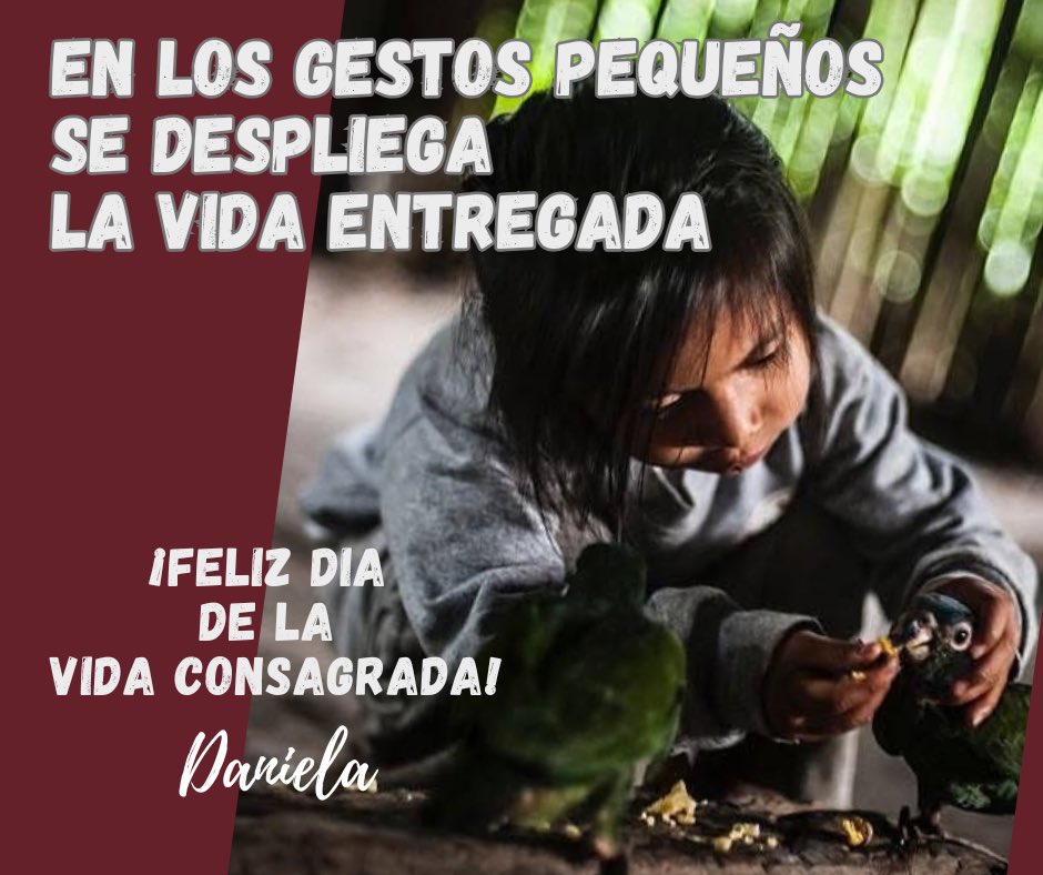 Daniela Cannavina (@danielacannavi1) on Twitter photo 