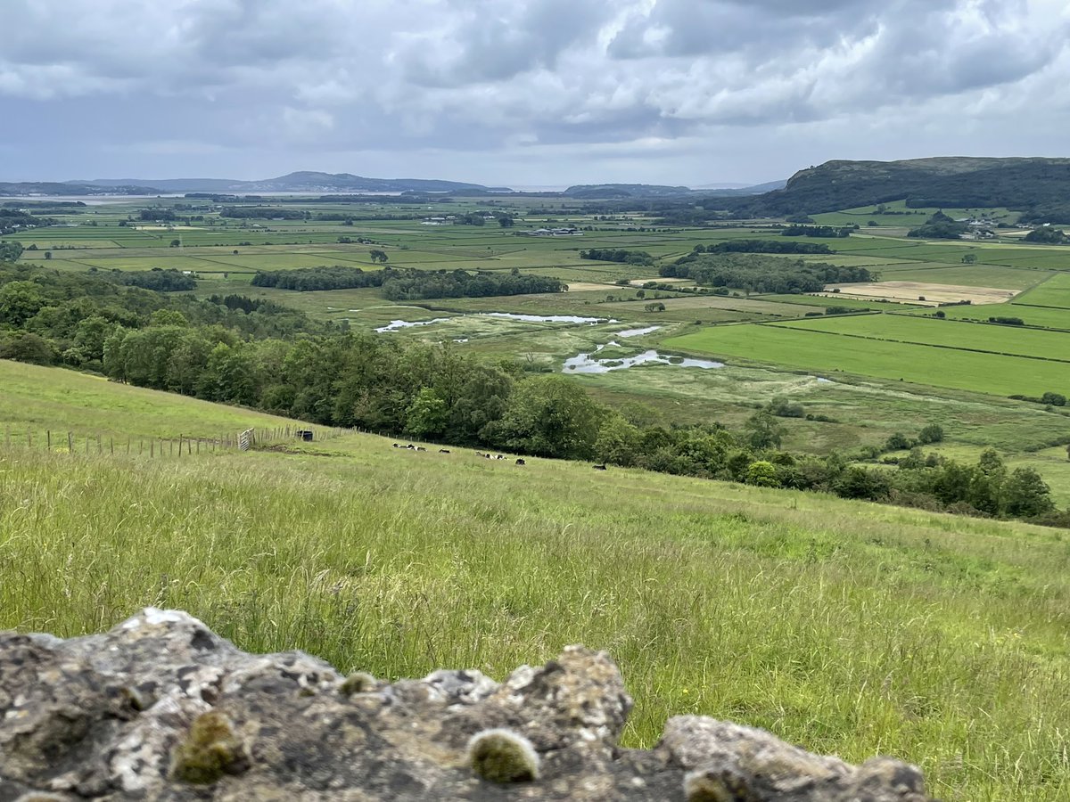 It’s #WorldWetlandsDay and after over 10 years since its creation our wetland at Parkend Moss is thriving more than ever. Rangers and volunteers have been busy reed cutting in the last few weeks. To take a walk down there try our trail;
rb.gy/nlf3v0