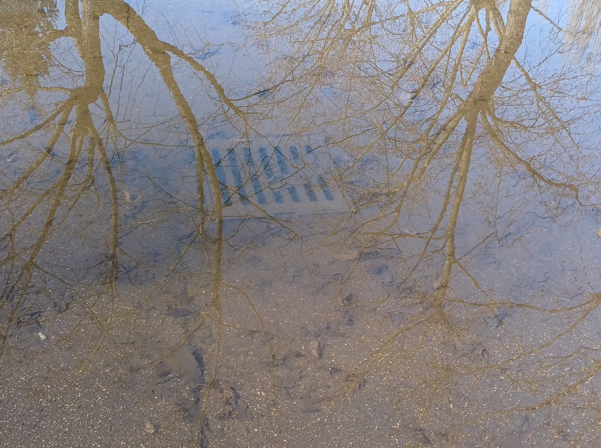 Sebastian tweet media