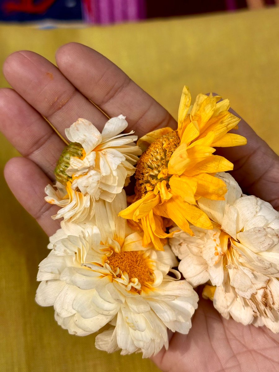 Amitabh Bachchan tweet media