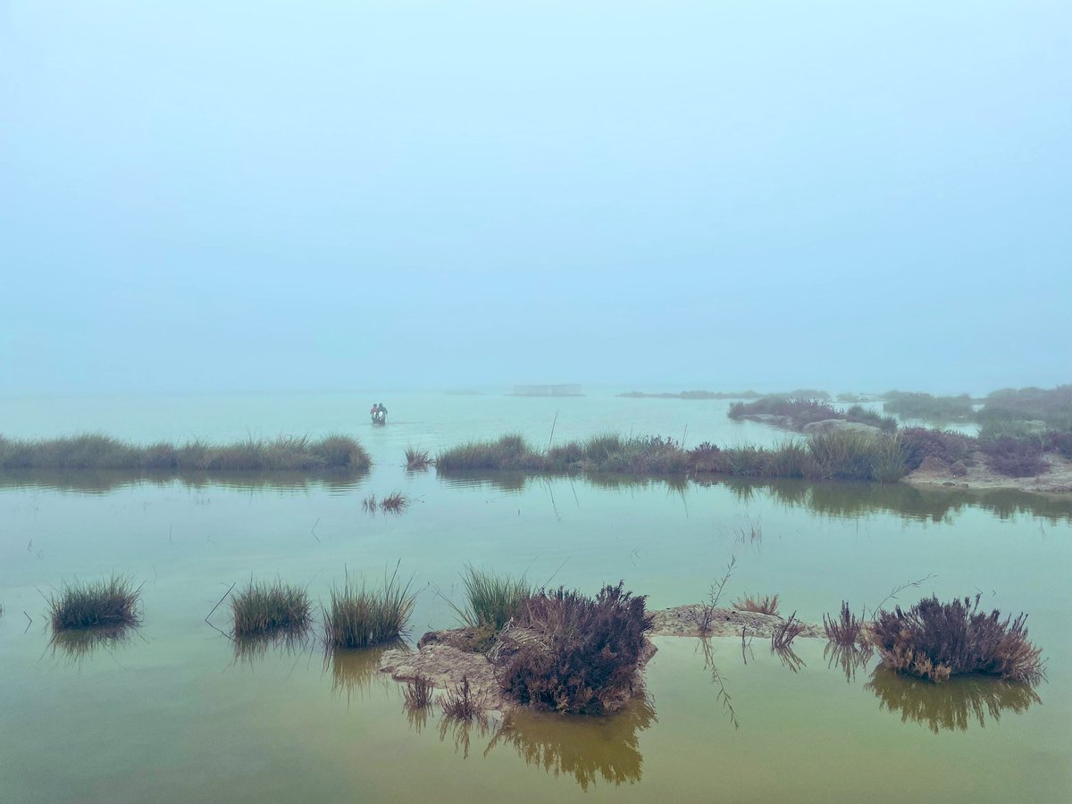 Hoy es el #día mundial de los #humedales. Un recordatorio de lo sensibles que son estos #ecosistemas y la importancia de #conservarlos. Un lujo poder trabajar en sitios como estos. #Biodiversidad