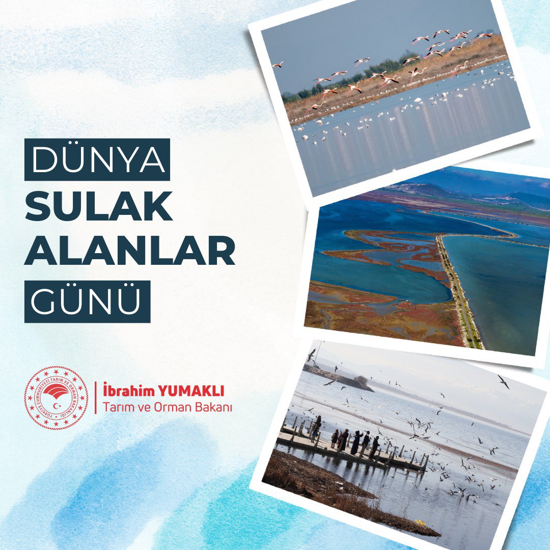 🏞️ 2 Şubat Dünya Sulak Alanlar Günü’nü kutluyor, Türkiye’nin eşsiz sulak alanları için çalışmalarımızı kararlılıkla sürdürüyoruz. 

🌍 Ülkemizde koruma altına aldığımız, 1.2 milyon hektar alana sahip 131 adet sulak alanımızla dünyamıza değer katıyoruz. 

🦩 Bu değerli