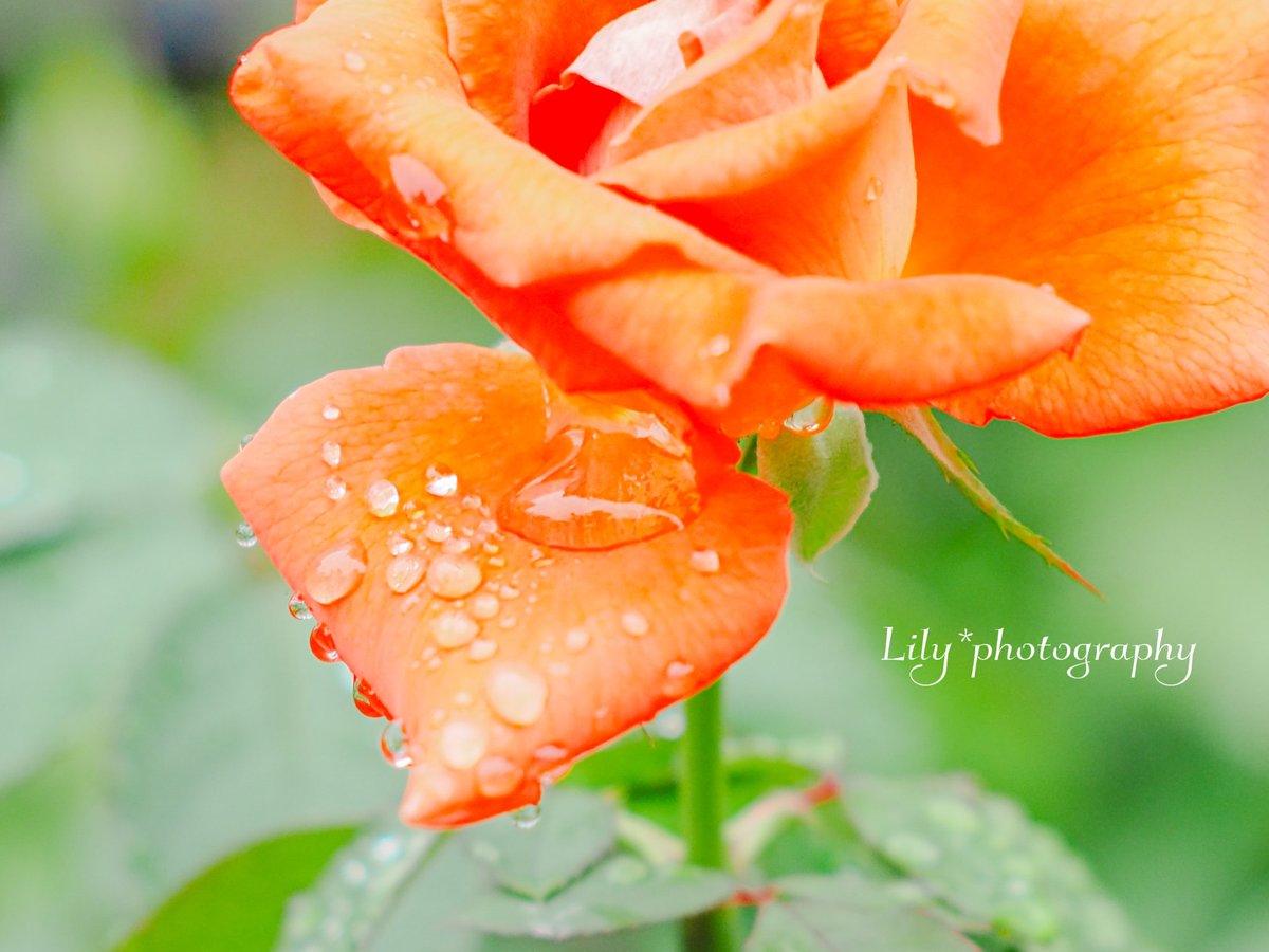 今月もどうぞよろしくお願いします𑁍ࠬܓ