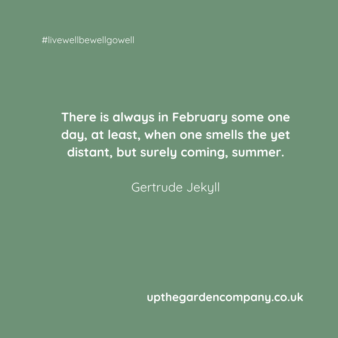 UpTheGardenCo's tweet photo. February 💚
https://t.co/V4bmB7T4go
#gertrudejekyll #gertrudejekyllquotes #quotes #gardenquotes #februaryquotes #springquotes #winterquotes #summeriscoming #gardenquotes #gardeninspo https://t.co/mzUqNos3JH