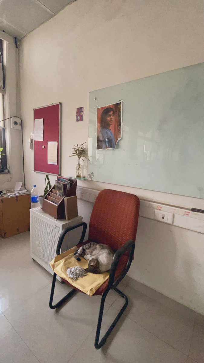 SaniyaIrfan7's tweet image. Lab assistant billu found sleeping on duty
#hss #iitd