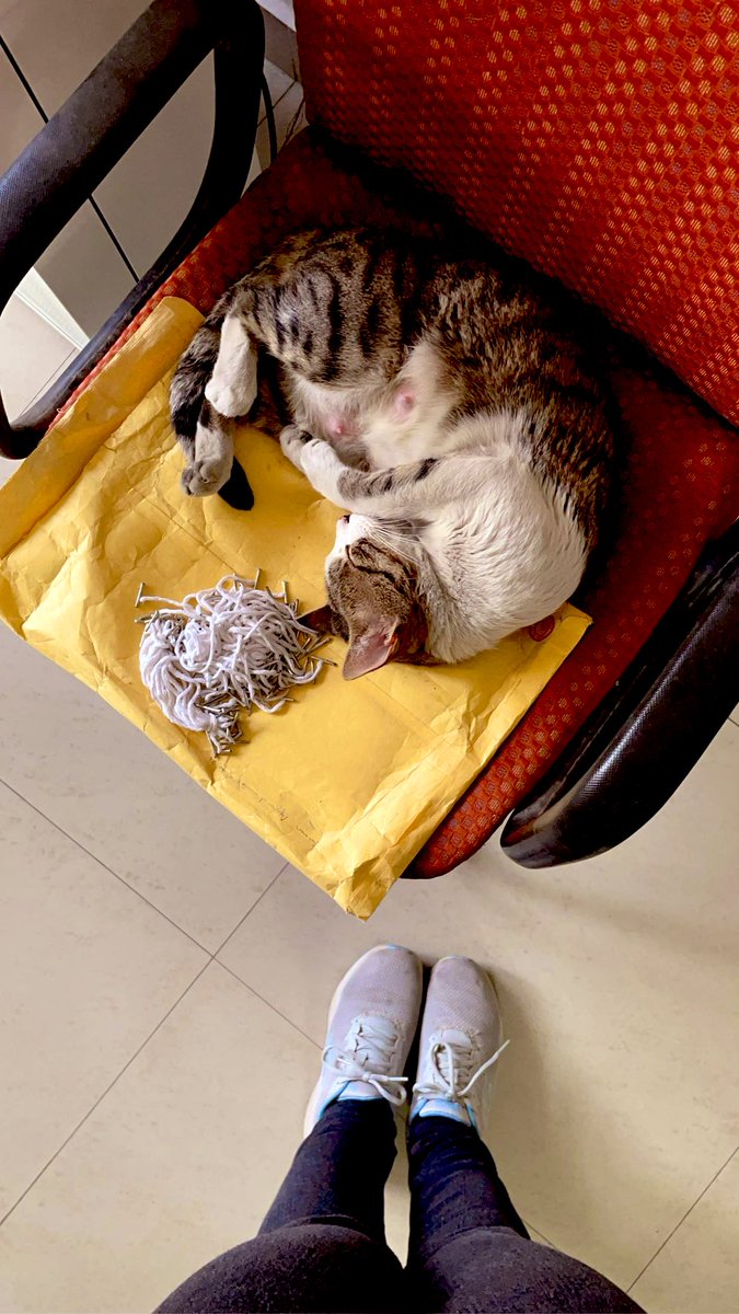 SaniyaIrfan7's tweet image. Lab assistant billu found sleeping on duty
#hss #iitd