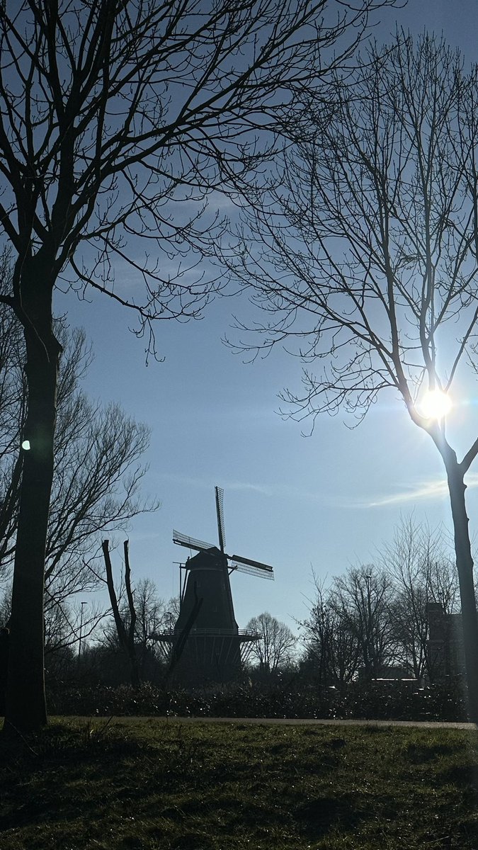 Zonnige dag in Amsterdam 💖🤩