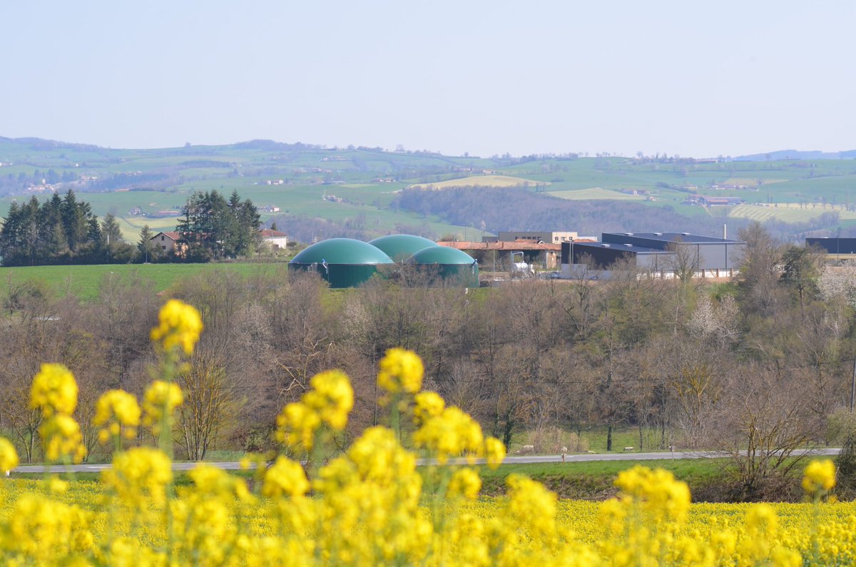 ✳️ 𝐆𝐚𝐳 𝐫𝐞𝐧𝐨𝐮𝐯𝐞𝐥𝐚𝐛𝐥𝐞𝐬 : 𝐮𝐧𝐞 𝐟𝐢𝐥𝐢𝐞̀𝐫𝐞 𝐢𝐧𝐝𝐮𝐬𝐭𝐫𝐢𝐞𝐥𝐥𝐞 𝐦𝐚𝐝𝐞 𝐢𝐧 𝐅𝐫𝐚𝐧𝐜𝐞
La filière des gaz renouvelables « réalise 91 % de sa production et 85 % de sa valeur ajoutée en France » un baromètre
🔗gazdaujourdhui.fr/gaz-renouvelab…
<a href="/GroupeXerfi/">Xerfi</a>