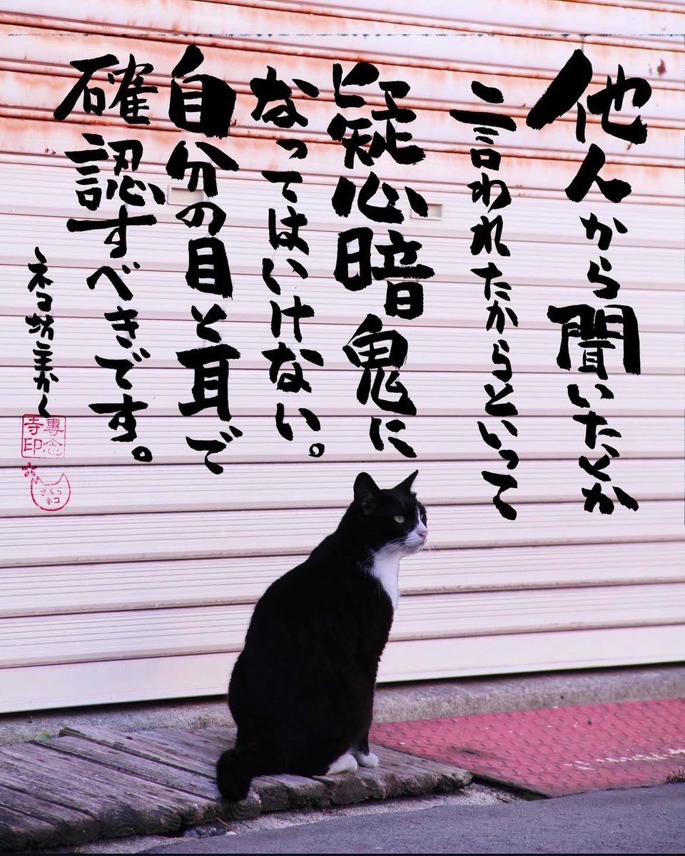 ネコさんから人間さんへ今日の一言
今日は節分。鬼は自分自身の中にいる。