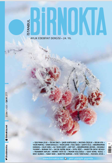 Birnokta Şubat 2025, 277. sayı yolda!