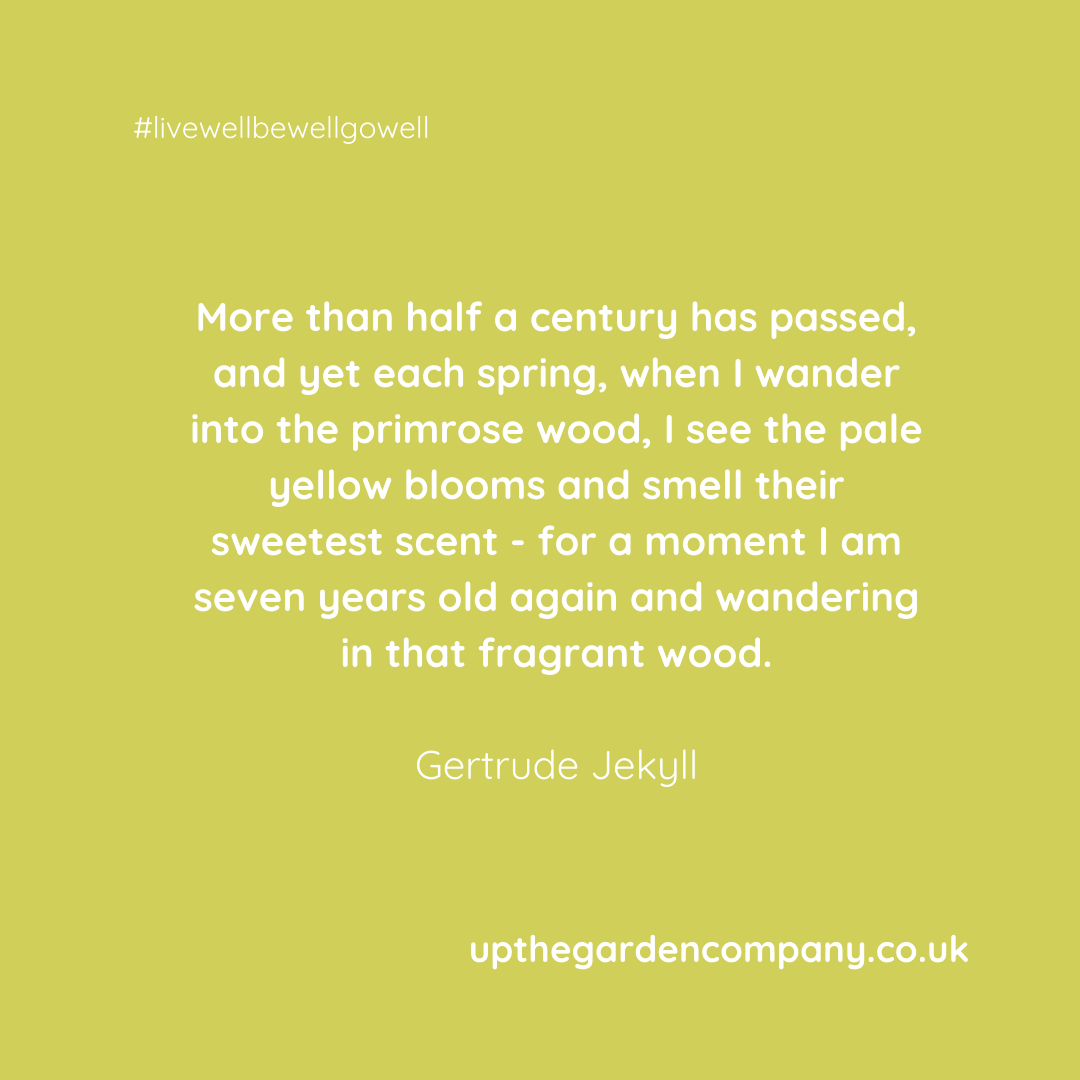 UpTheGardenCo's tweet photo. Spring 🧡 Primroses 🧡 Woodland 🧡Gertrude Jekyll 
https://t.co/m4YKRcCPxF

#gertrudejekyll #gertrudejekyllquotes #woodlandquotes #primroses #primrose #primrosequotes #springquotes #springflowers #spring #livewellbewellgowell https://t.co/8XHNBjPmv7