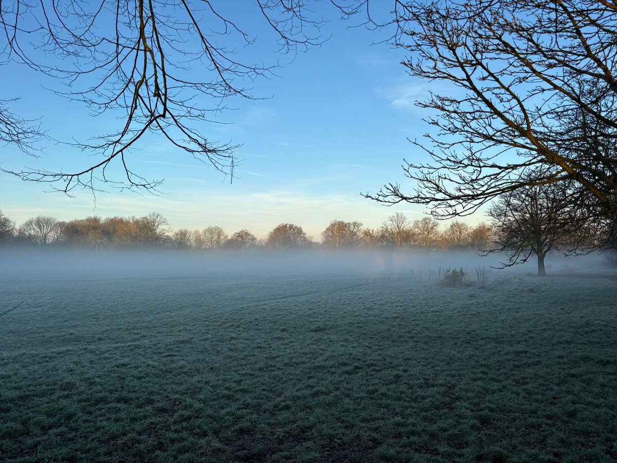 A beautiful morning!
Congrats to our 60 runners, including Cissie who ran her 50th, Rosa who ran her 50th and Greg who ran his 100th! Amazing stuff. 
And a big thank you, of course, to the 27 volunteers who helped the show happen. 
See you next week!