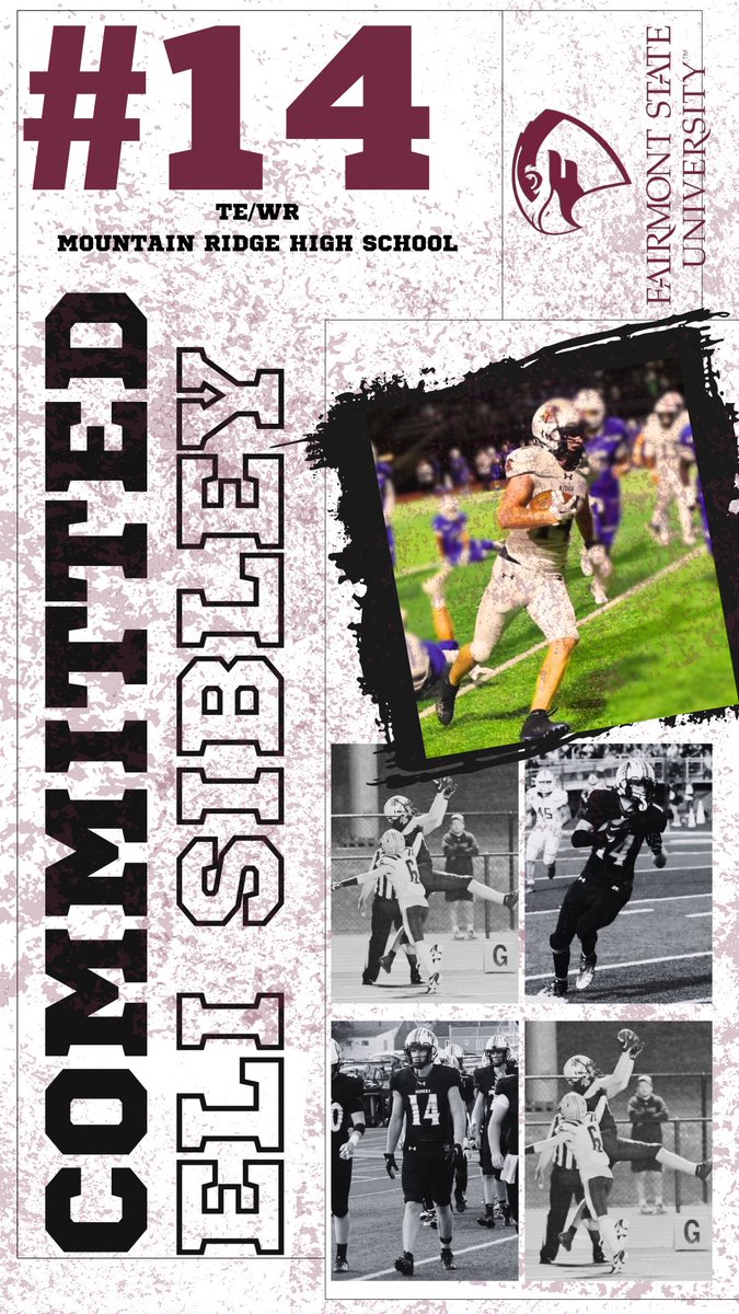 Eli Sibley tweet media