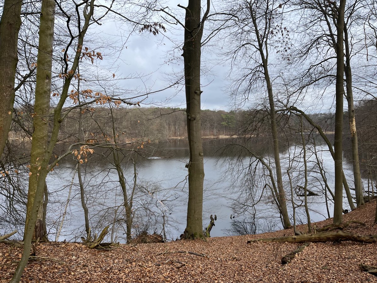 pneumannberlin's tweet photo. Spaziergang am #Hellsee im Landkreis #Barnim. #Brandenburg https://t.co/Qhj4sPP8pc
