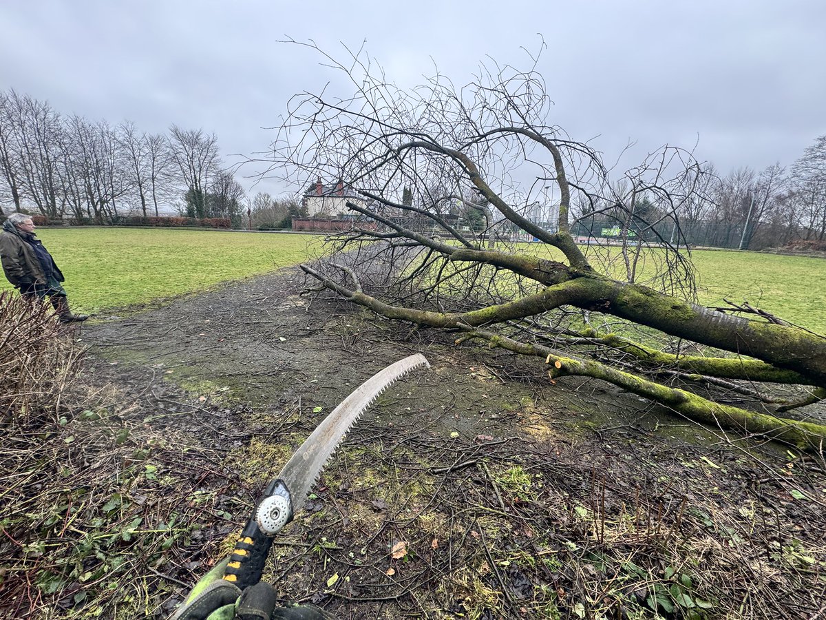 MaryhillPark's tweet photo. We’ve cleared a way past the big fallen tree on the bowling green… https://t.co/NSA7CGoXAD
