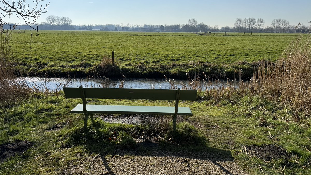 Geert Wilders tweet media