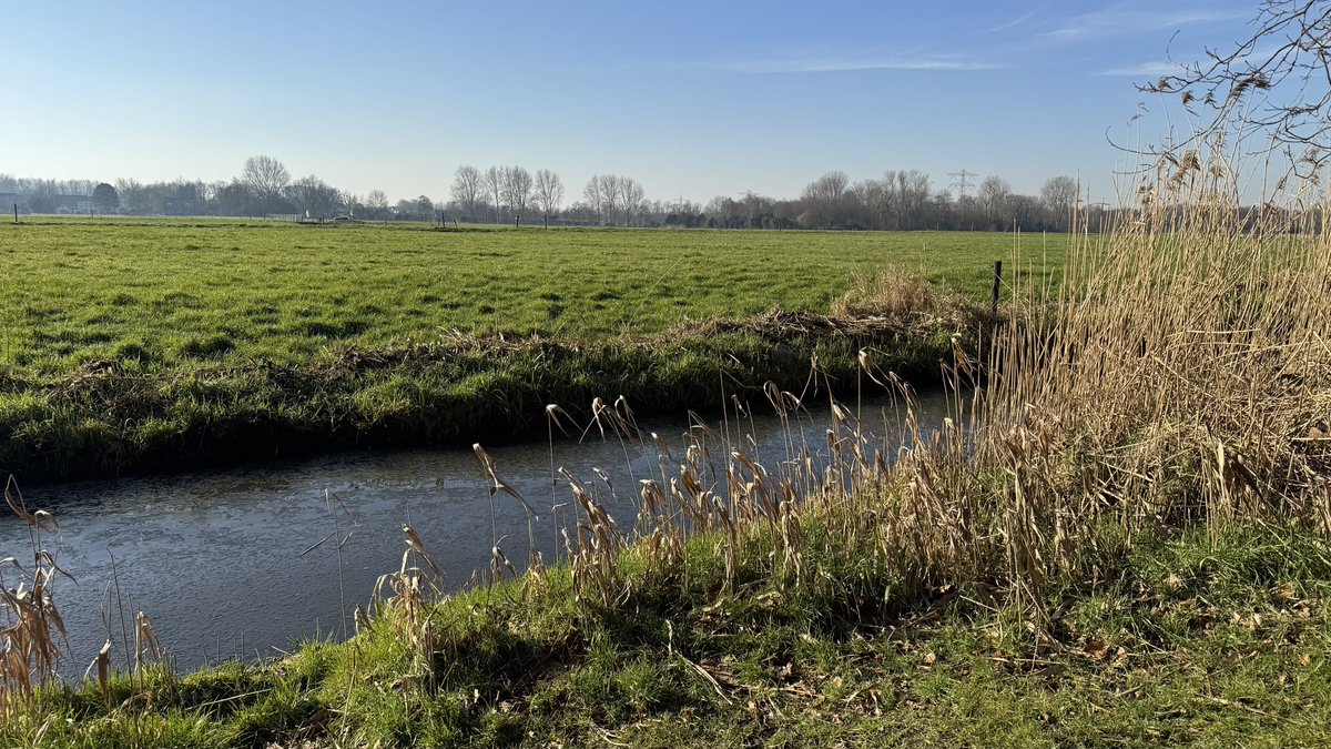 Geert Wilders tweet media