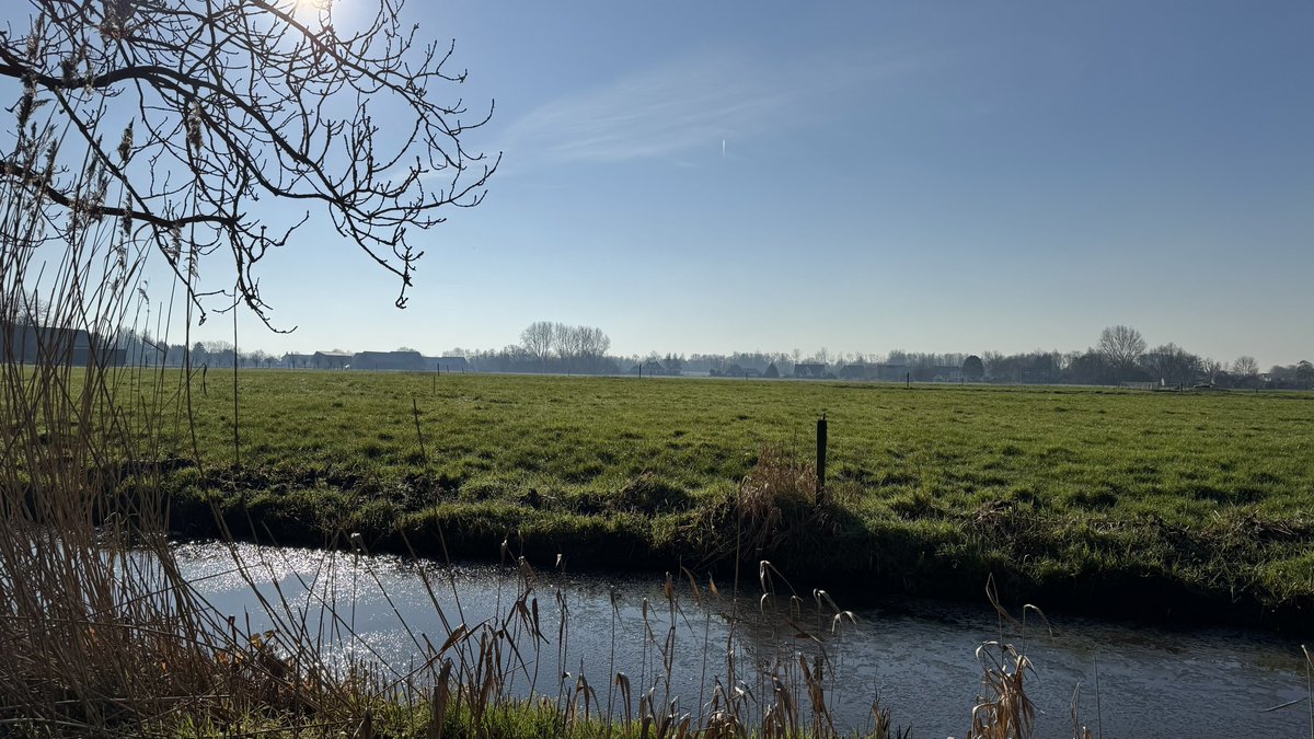 Geert Wilders tweet media