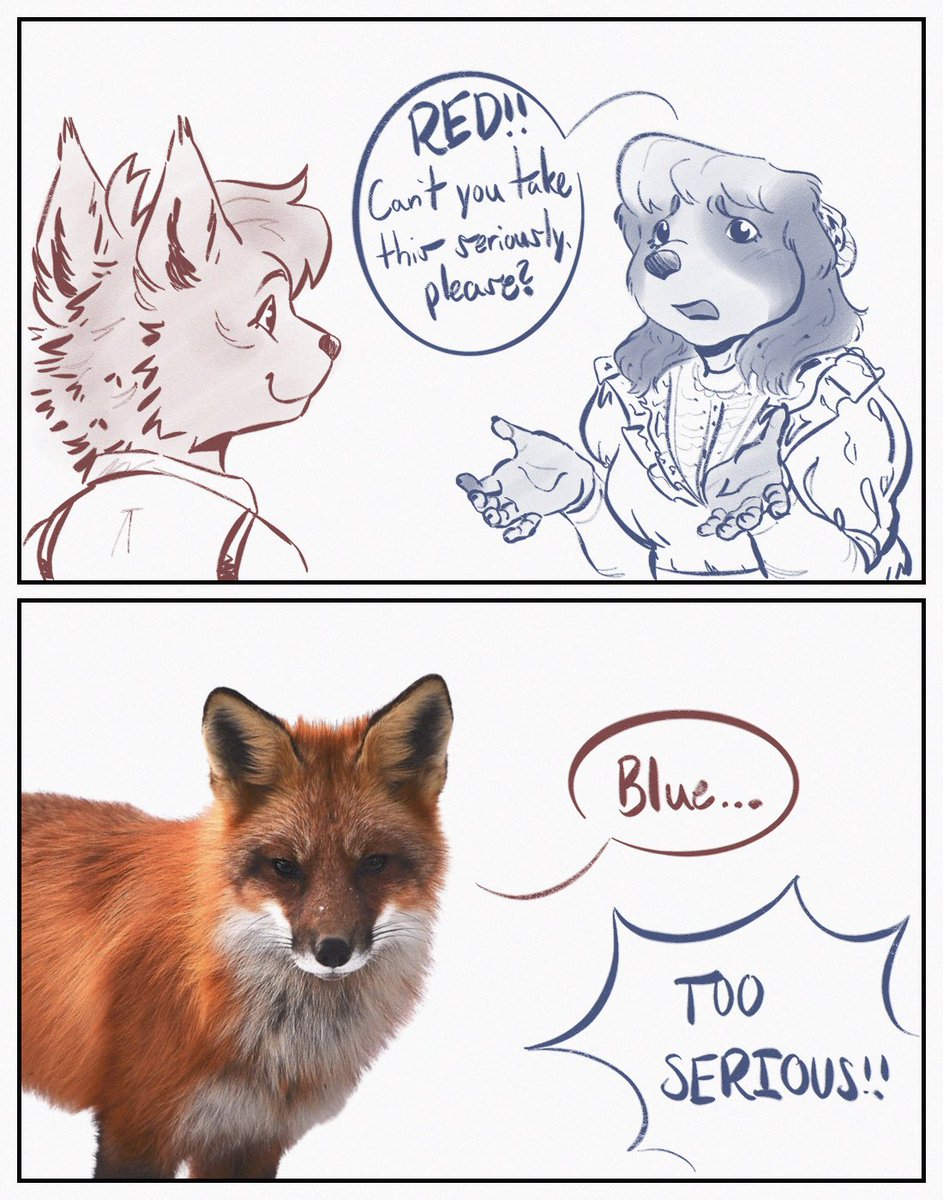 cloaked_cloverr's tweet photo. TOO SERIOUS !!!!    

[#OCs #bluered] https://t.co/yMJWE65kLD
