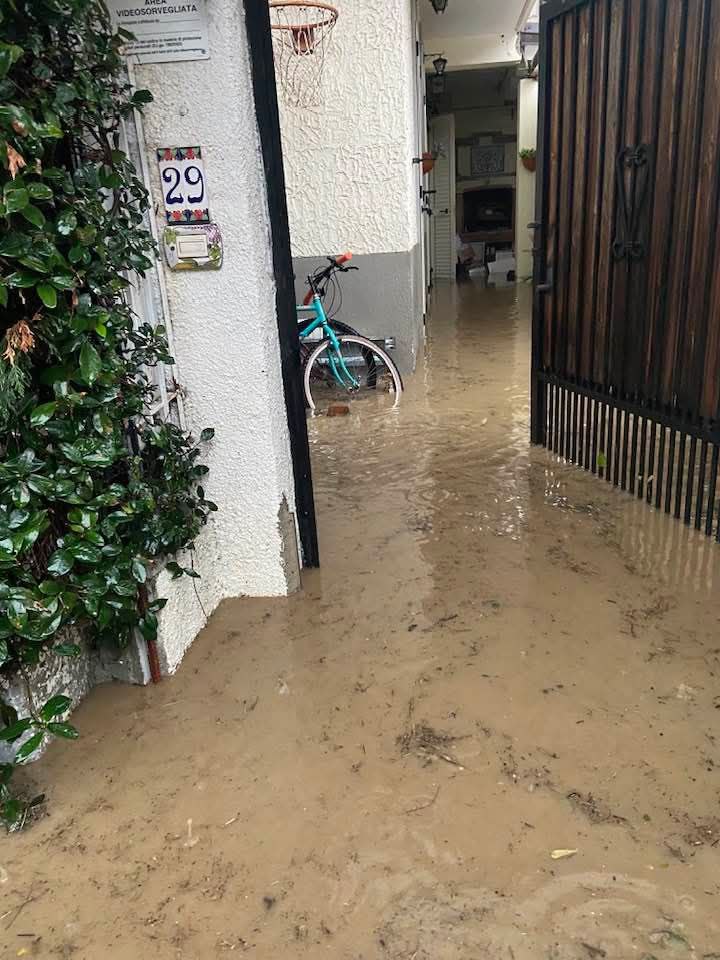Top_Distress's tweet photo. Massive flood due to heavy rain in Montepaone of the province of Catanzaro, southern Italy 🇮🇹 (02.02.2025)

Follow 👉 https://t.co/TMddJUzF34 https://t.co/LtH0aPK111