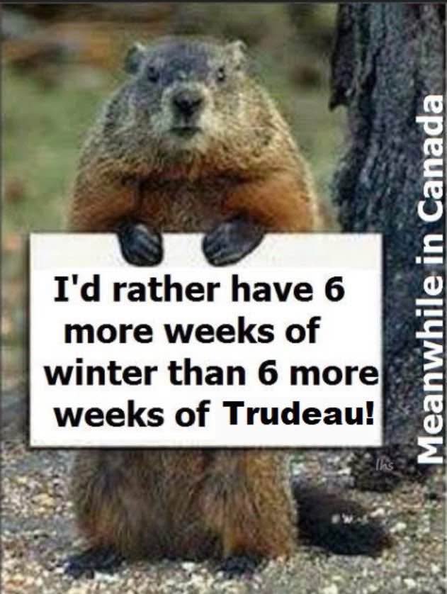 davidallenwest's tweet image. Trudeau, Jagmeet, Liberals, NDP and the WEF all need to go