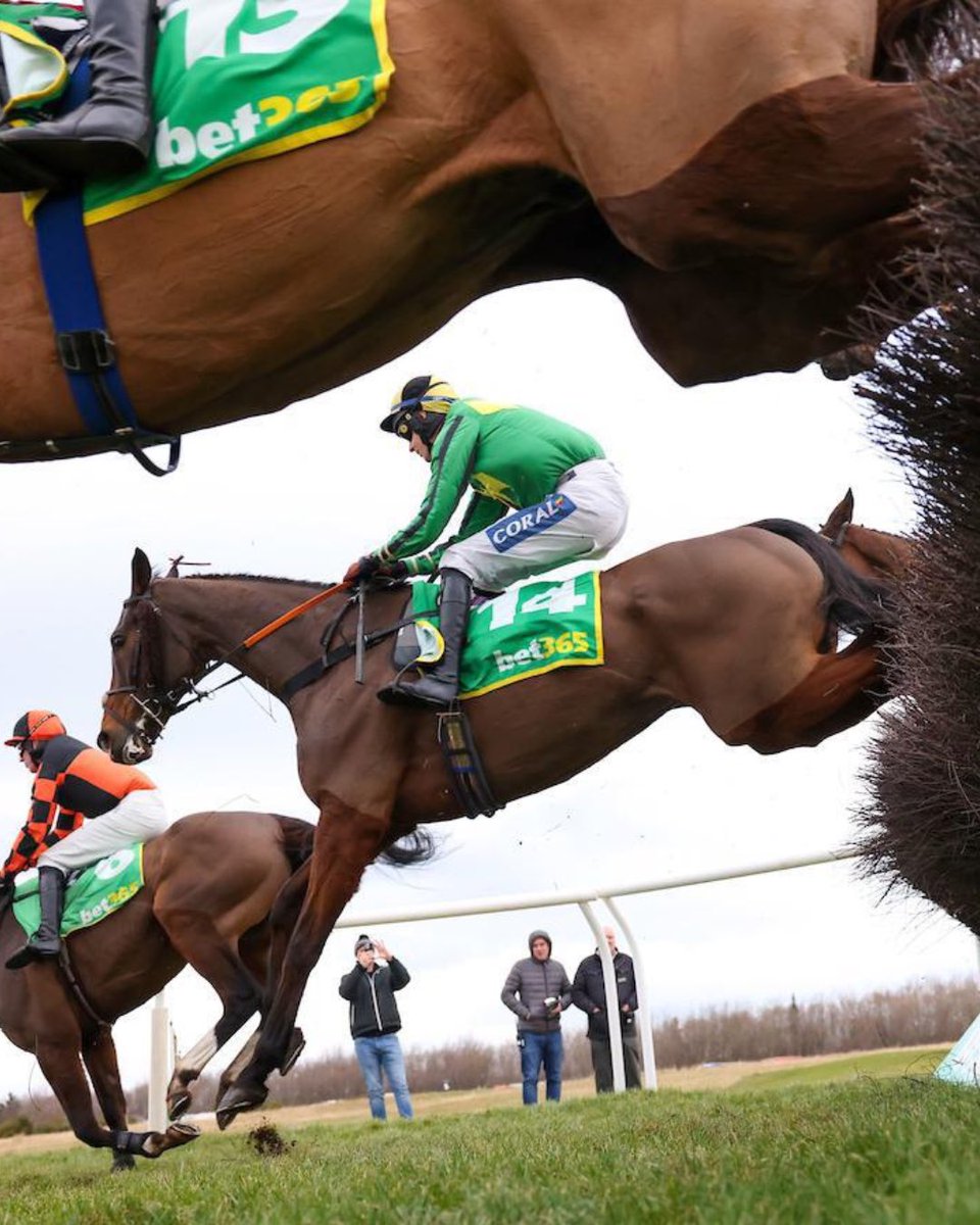 Alastair Ralph Racing (@trainingwinners) on Twitter photo Magnificent Magna Sam!🏆
A great day at <a href="/MusselburghRace/">Musselburgh Racecourse</a> with Magna Sam winning the Edinburgh National!
Congrats to <a href="/brendanp1995/">Brendan Powell Jr</a> and owner Mr Stephen Price.
A massive thank you for the all the hard work from the team at home. Magnificent Magna Sam!🏆
A great day at <a href="/MusselburghRace/">Musselburgh Racecourse</a> with Magna Sam winning the Edinburgh National!
Congrats to <a href="/brendanp1995/">Brendan Powell Jr</a> and owner Mr Stephen Price.
A massive thank you for the all the hard work from the team at home.