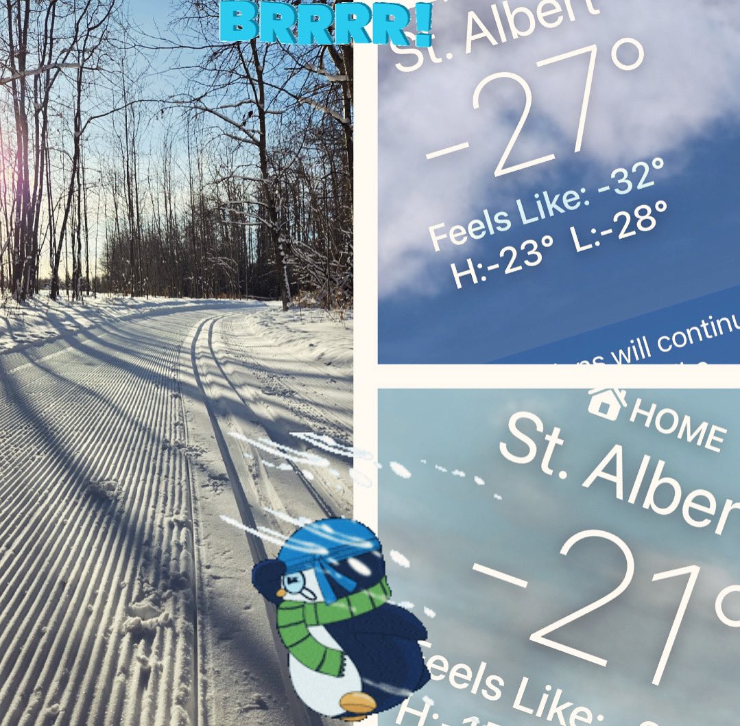 It has been a cold weekend. We try to hold lessons even when it is cold. Today it is too cold to keep kiddos safe so NO lessons today.