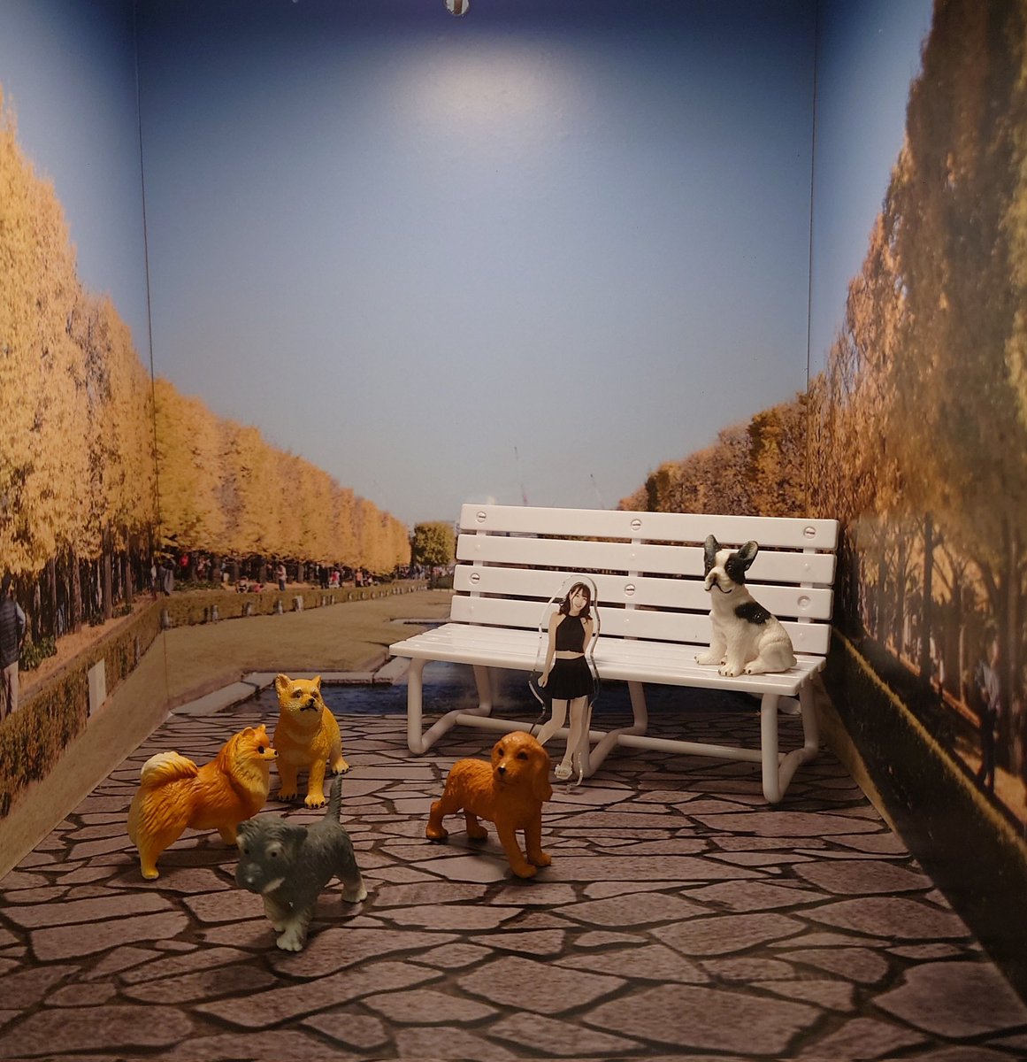 kmtcrz's tweet image. いい感じの撮影スポットあった🐶🌼*･
#あさみとはんぶんこ