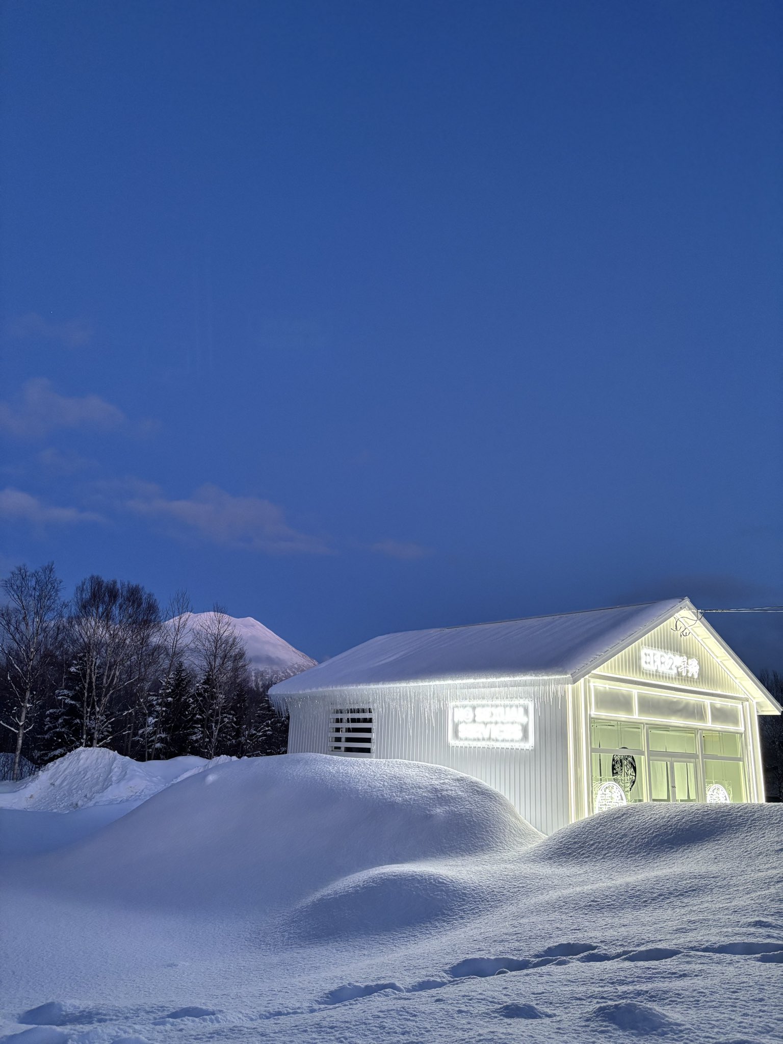 山羊角 北海道産 商品 – ページ 73