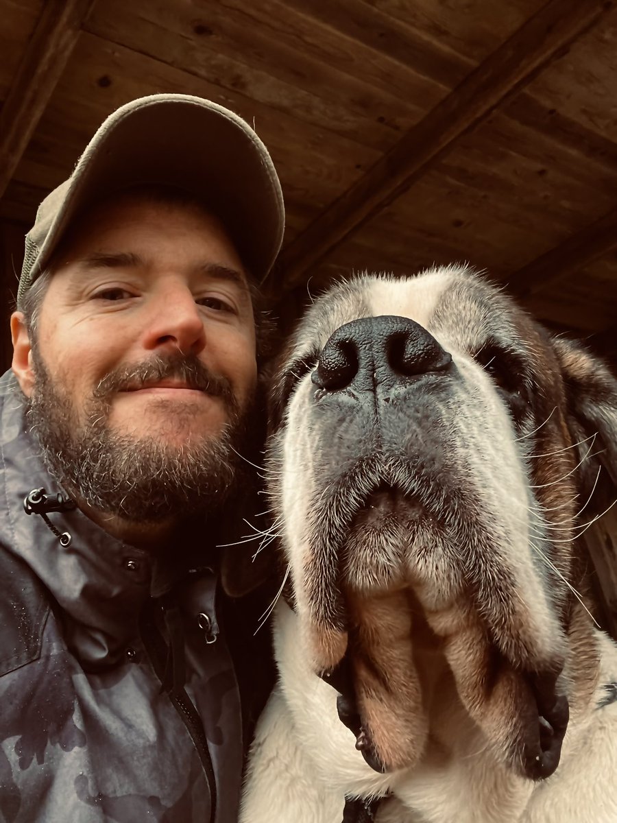 Will Dean tweet media