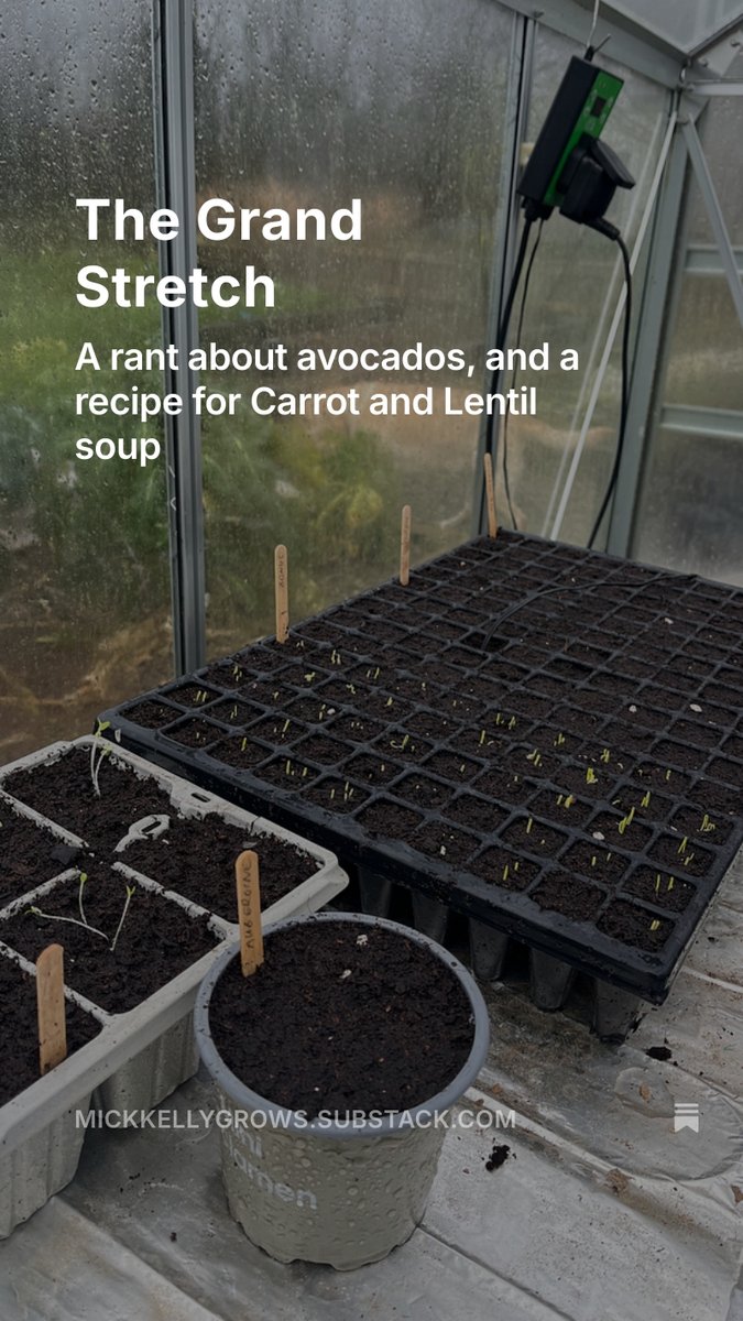 In this week's column i am debating the real start of spring (hint: the English are right) and have a rant about avocados.  open.substack.com/pub/mickkellyg…