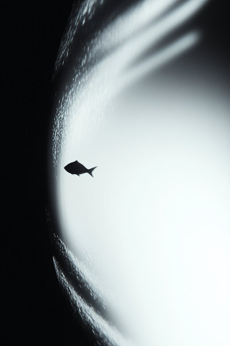 Community (Twitter) image 4
