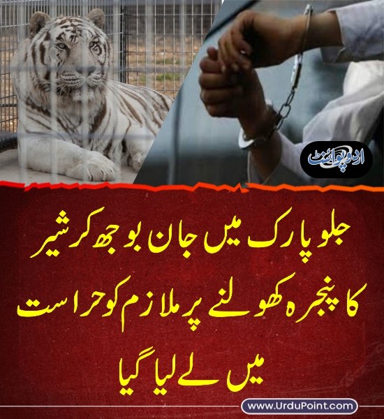 DailyUrduPoint's tweet photo. خبر کی مزید تفصیل جانئیے
https://t.co/uo6Mj8Ks1c

#Lahore #Lion #JalloPark #TigerCage #Police https://t.co/X59X9uRabg