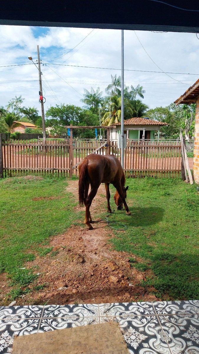 RLevynatica's tweet image. ❤️✨️