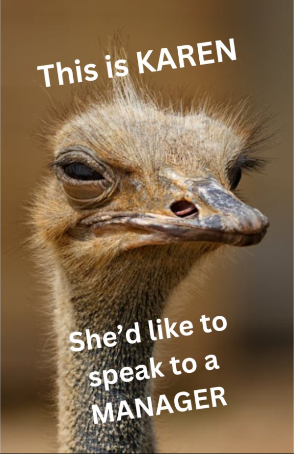 ⚠️ATTENTION⚠️

🌟The $OSTRK meme coin is HERE!🌟

Let's laugh all the way to the🌚

-It's LAUNCHING TODAY, don't miss it❕

-Burning 90% LP &amp; 10% for Devs &amp; Marketing✨

~❤️&amp;♻️
~Follow <a href="/OstrichKarenSol/">Ostrich Karen Coin</a>🔔
~Join: t.me/+k6jOF457wJM2O…

🎉Let’s make memes so Karen goes 100X🎉