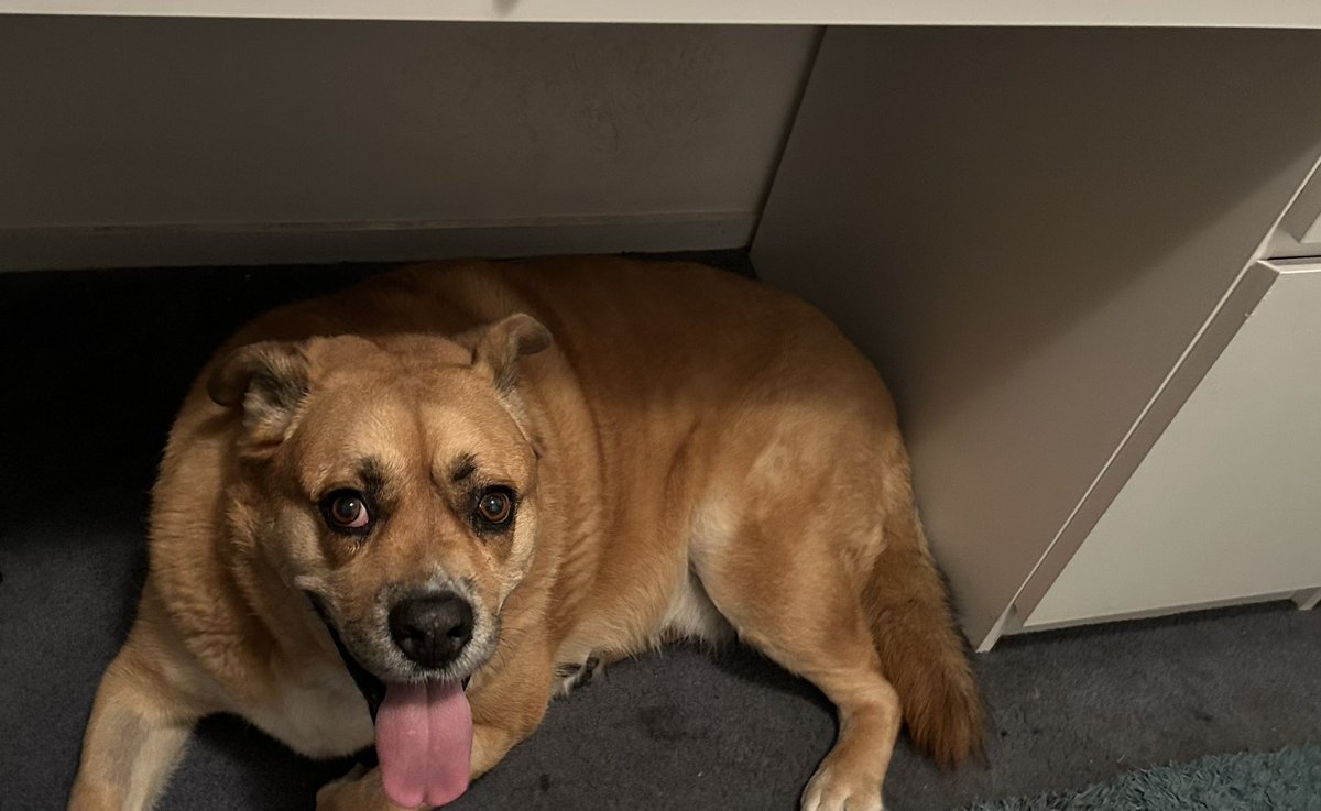 Mickandkel tweet media