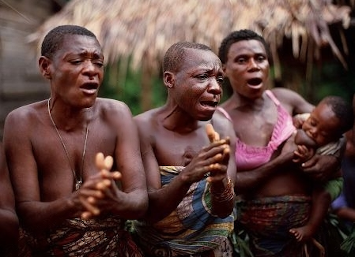 La música de los hongos: la polifonía de las mujeres Baka.
plantaforma.org/musica-hongos-…