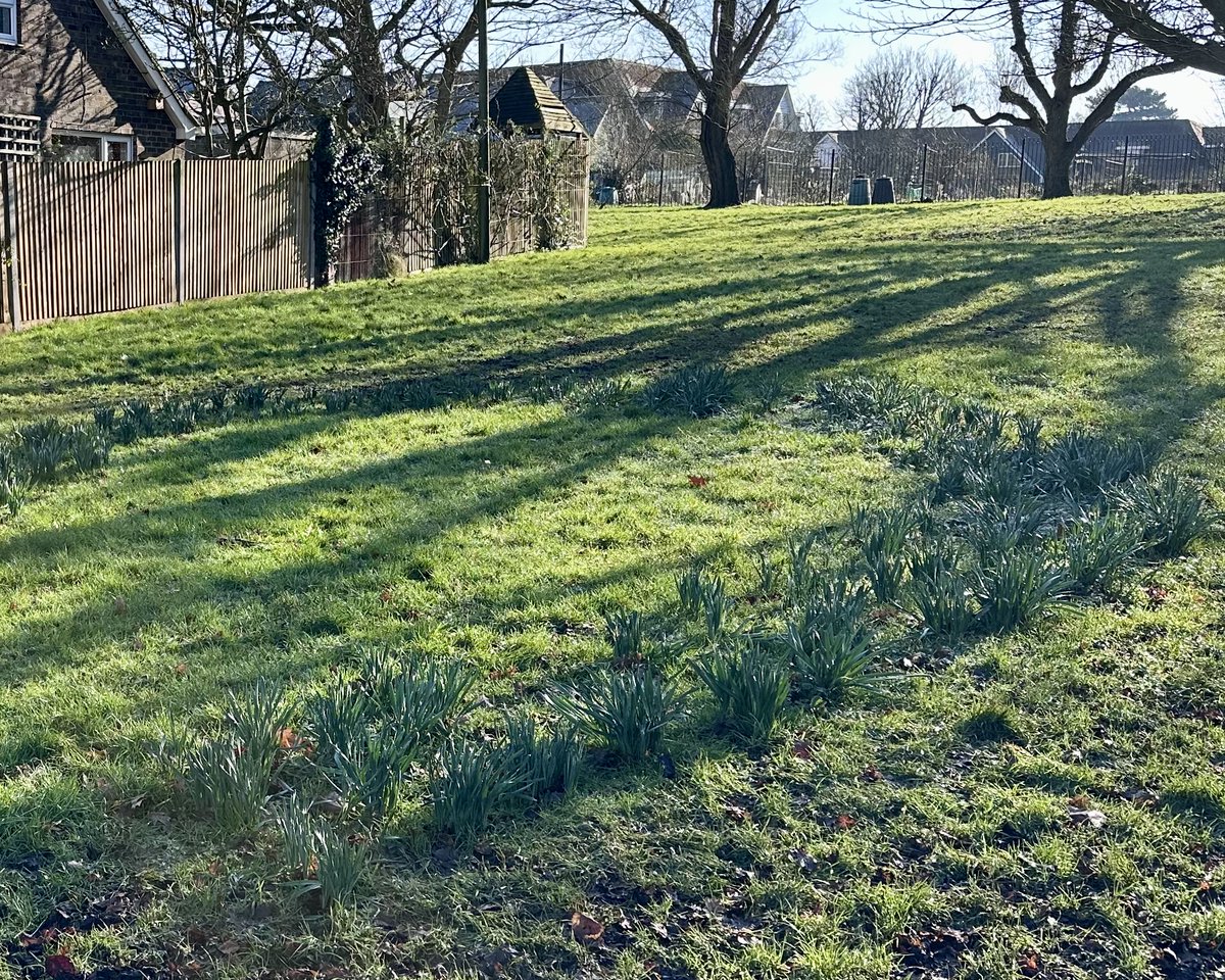 JimDavisOnAir's tweet photo. A cheeky little sign of #spring on this morning's dog walk!🌱I'm back with you to soundtrack your #Sunday afternoon from 4-7pm @magicfm Share your #WeekendHighlight for a #shoutout &amp; join me as we build up to tonight's #GRAMMYs! Listen live @HelloRayoUK https://t.co/NaaiqMIdOD https://t.co/9dYRwpDMUi