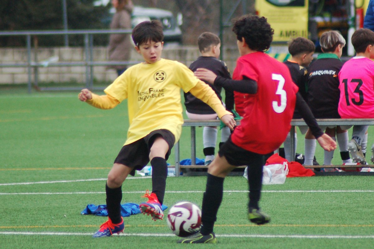 FedExFutbol's tweet photo. ⚽ | #FútbolBase |

📌Algunas imágenes de la 🏆𝐂𝐎𝐏𝐀 𝐌𝐄𝐓𝐀𝐋𝐅𝐑𝐀𝐌𝐄 de Selecciones Comarcales Sub-12 que se está celebrando hoy en 📍Plasencia, con más de un centenar de jugadores de todos los rincones de Extremadura demostrando su enorme calidad.

💥¡𝗨𝗡𝗢𝗦 𝗩𝗘𝗥𝗗𝗔𝗗𝗘𝗥𝗢𝗦 𝗖𝗥𝗔𝗖𝗞𝗦!💥

🚀Con el impulso de @metalframereno1 

📸@juancaraes 

#Extremadura💚🤍🖤
#JugamosEnEquipo