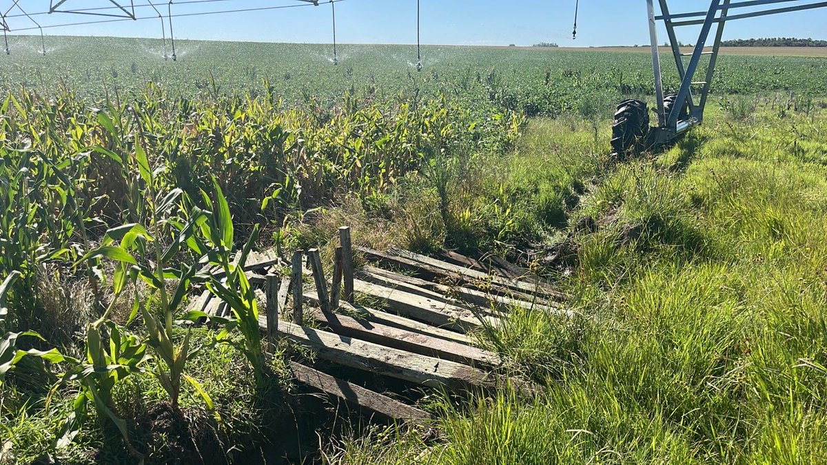 Alvaro Ferres tweet media