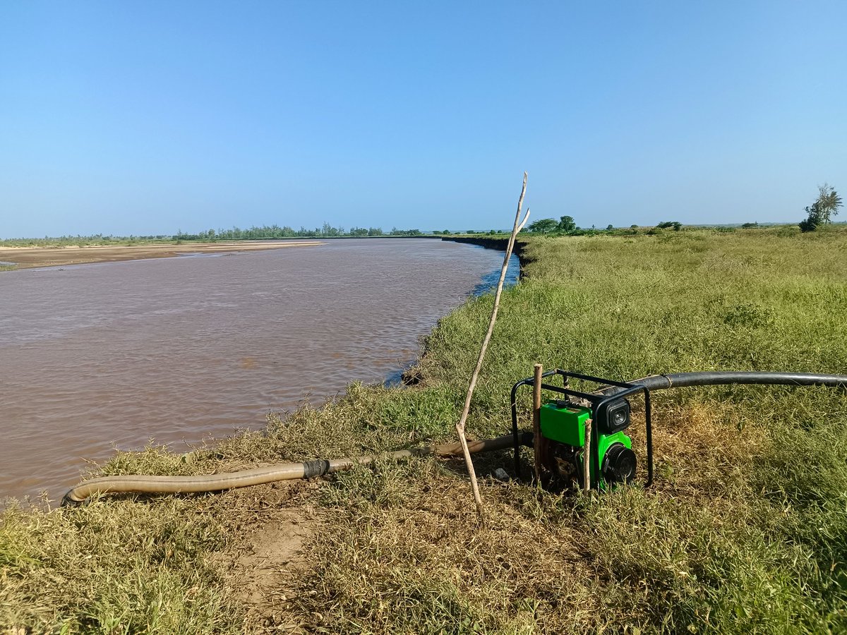 On this world wetlands day, we bring to your attention and call to action, the need to prioritize provision of water and favourable ecosystems, and for our community in Kilifi we seek heavy investment in floods control and water harvesting.  #WorldWetlandsDay2025 #ClimateAction