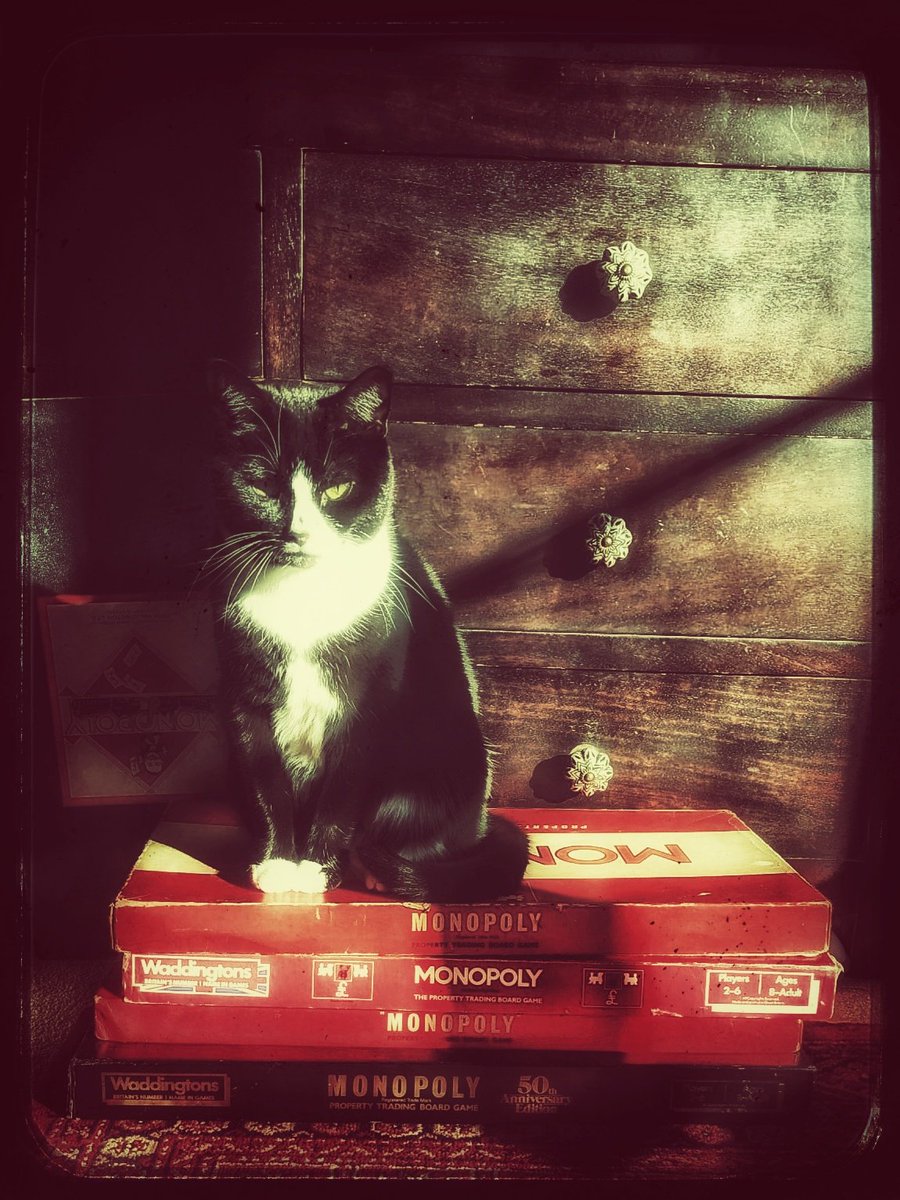 Digital Crypt tweet media